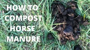 how to compost horse manure you