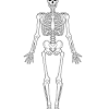 Animated text narrations and quizzes to explain the structures and functions of the human body systems. 1