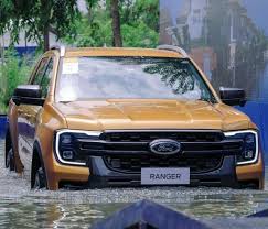 downpour ford philippines shares
