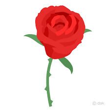 beautiful red rose clip art free png