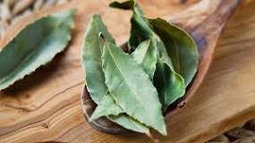 Can you eat all types of bay leaves?