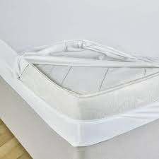 anti bed bug mattress encasement
