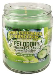 Welcome to paul hoge creations, the manufacturer of the original odor eliminator candle. Cool Cucumber Honeydew Candle P And F Pet Provisions