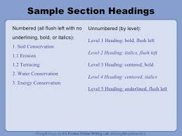 mla sample paper