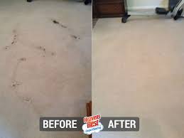 duluth mn carpet cleaning heaven s