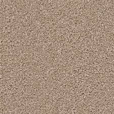 south s cashew carpet 1 2560