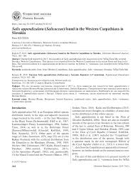 (PDF) Salix appendiculata (Salicaceae) found in the Western ...