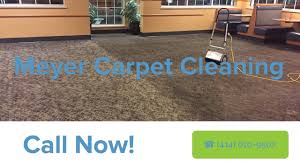 carpet cleaner jackson wi meyer
