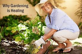 the health benefits of gardening for