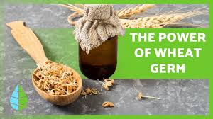 benefits of wheat germ properties