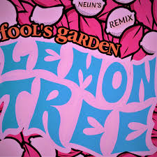 fool s garden lemon tree neun s