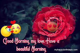 Good morning flowers for my lover. 200 Beautiful Good Morning Wishes With Roses Flowers Hd