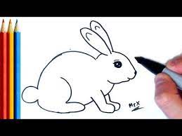 how to draw rabbit easy step by