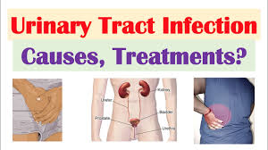 urinary tract infections uti overview