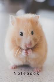 notebook hamster hamster gift for