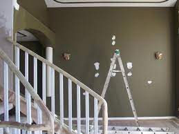 professional house painting your
