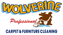 carpet cleaning service ann arbor mi