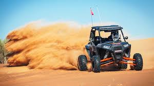 Image result for dune buggy