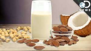 soy almond or coconut which non dairy