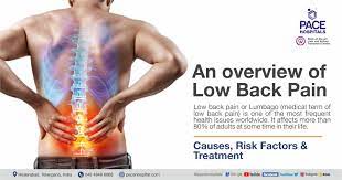 an overview of low back pain causes