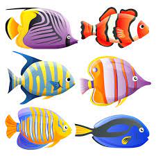 premium vector colorful ocean fish
