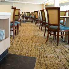 the 1 carpet cleaning in pittsburgh