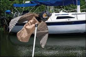 keep birds away from your boat and dock