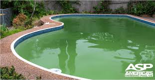 green pool problems how to clean a