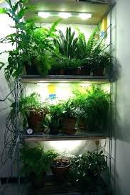 Pin On Led Grow Lights For Indoor Plants