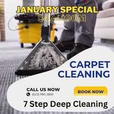 eco friendly carpet cleaning