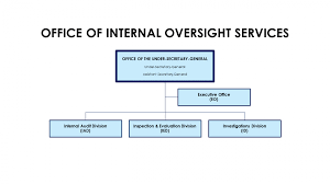 Organizational Structure Office Of Internal Oversight Services