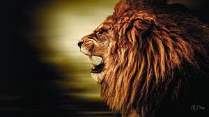 roaring lion wallpaper 78559 baltana