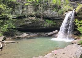 swim at the bottom of a waterfall in