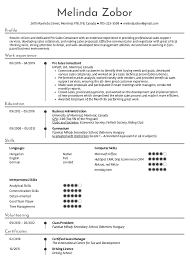 Resume Examples By Real People Pre Sales Consultant Resume