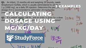 calculating dosage using mg kg day