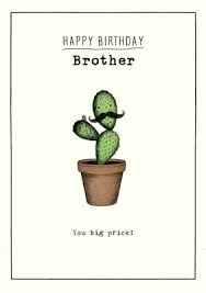 Almost all cacti are native to deserts and dry regions of south and north america. Cactus You Big Prick Personalised Brother Birthday Card Moonpig