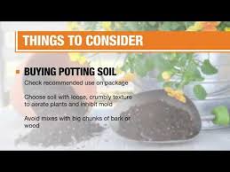 Best Potting Soil For Your Plants The