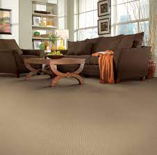 tigressa carpet photos ideas houzz