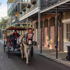 36 hours in new orleans things to do