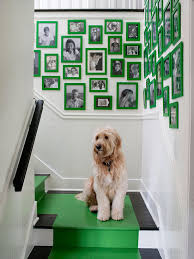 stairwell photo wall contemporary