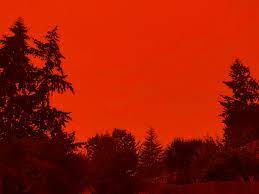 Blood Red sky : r/oddlyterrifying