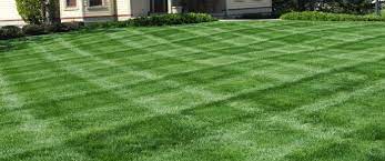 how fall mowing can make your yard look