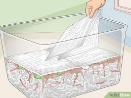 how to make a worm farm with pictures