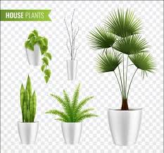 House Plants Vector Free