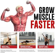 muscle bodybuilding m stak build lean