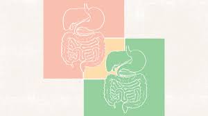 what is the difference between ibs and ibd