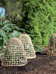 willow garden cloche plant protection