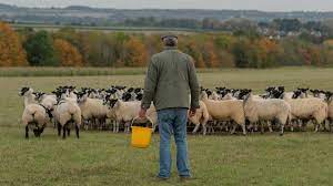 Here's everything you need to know about jeremy clarkson's new farming series. Jeremy Clarkson Reveals Heartache Filming Farming Tv Series Bbc News