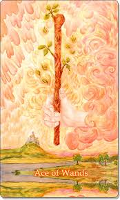 The ace of wands tarot is the card that symbolizes creation and beginnings, and somehow like the page of cups. Ace Of Wands Tarot Card Meaning Spiritual Tarot