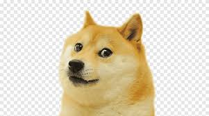 Use your arrow keys or swipe to combine similar doges and score points! Shiba Inu Doge Run Spokes Amaze Meme Dogecoin Game Mammal Png Pngegg